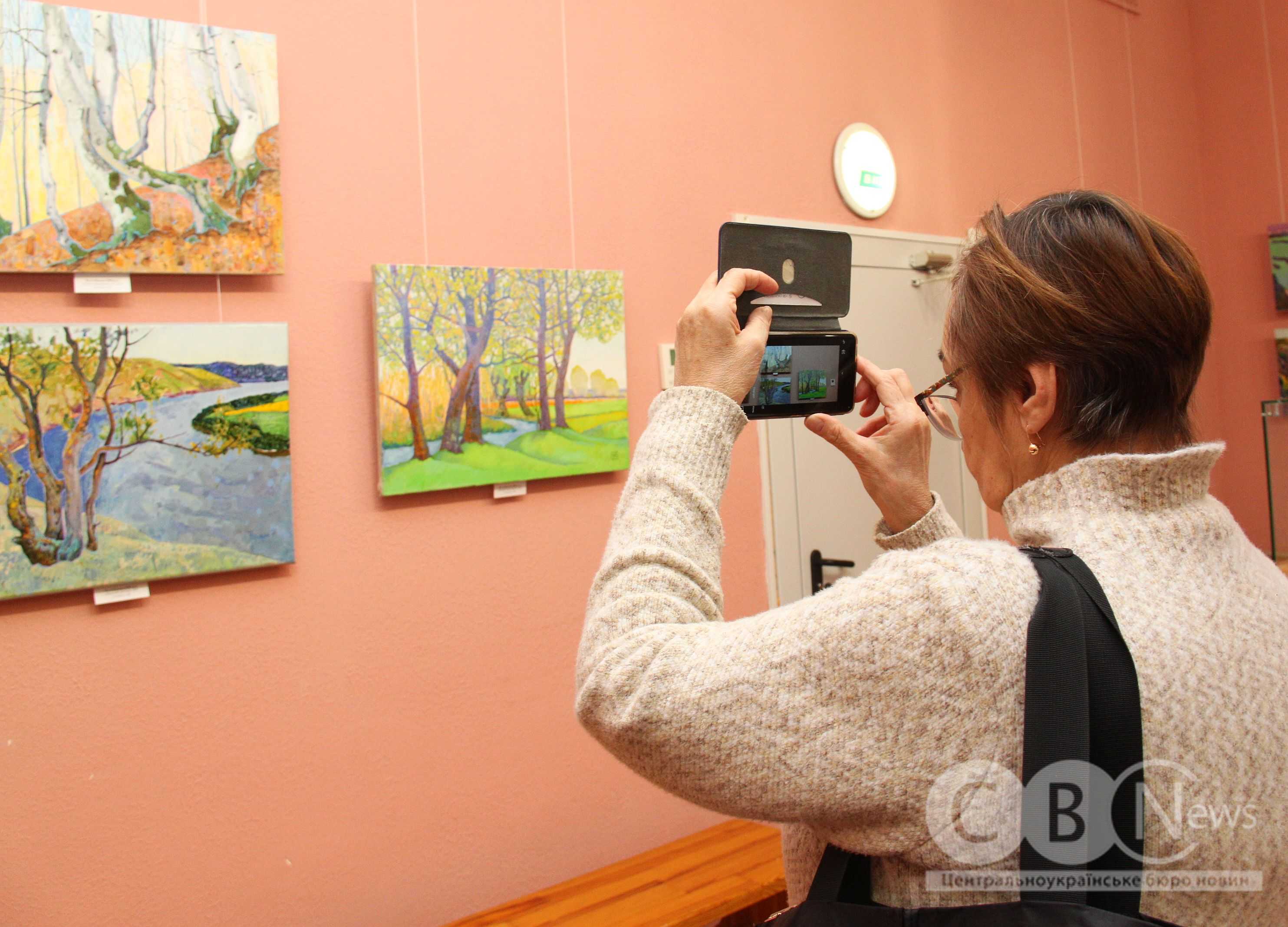 Присвячену оборонцям Донецького аеропорту виставку показали у Кропивницькому