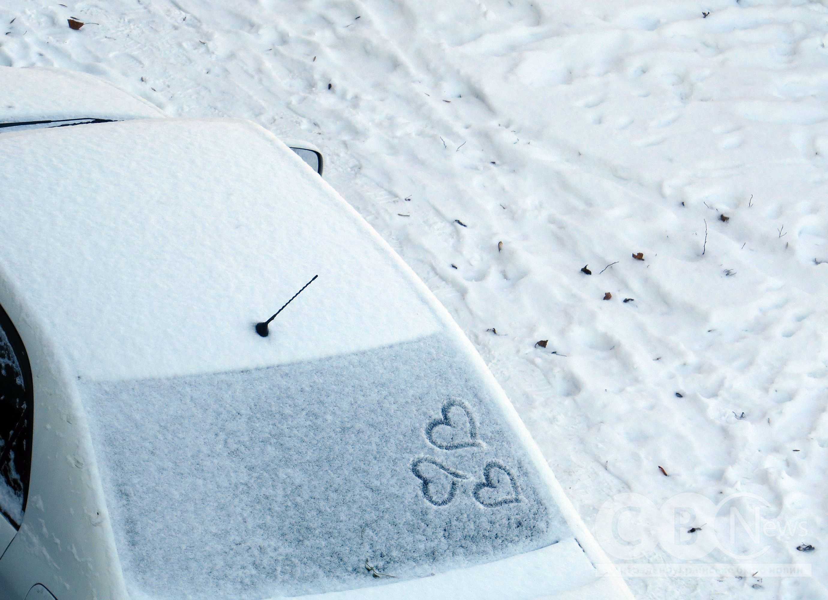 Кропивницький розпочав рік бігом і прогулянками з собаками