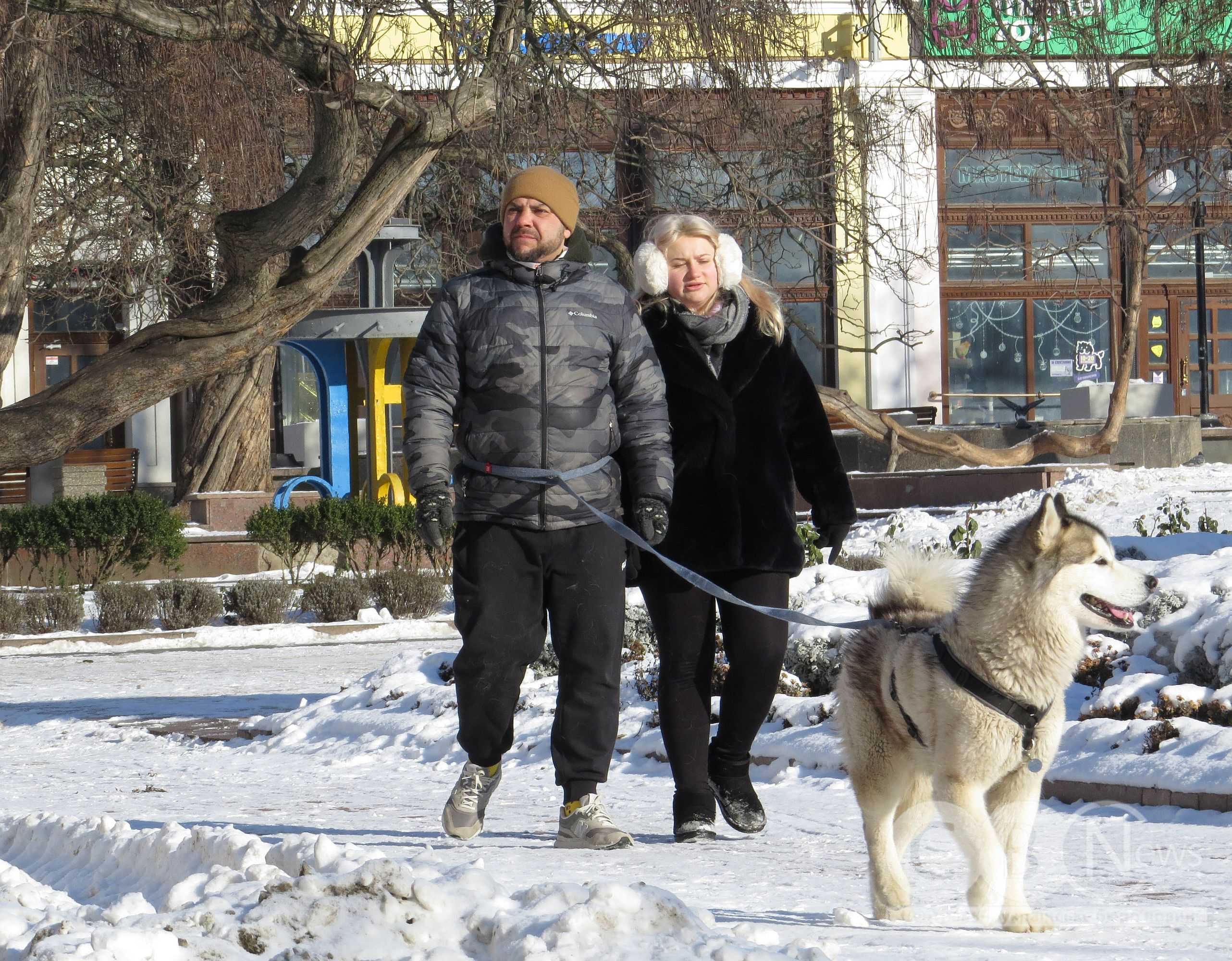 Кропивницький розпочав рік бігом і прогулянками з собаками