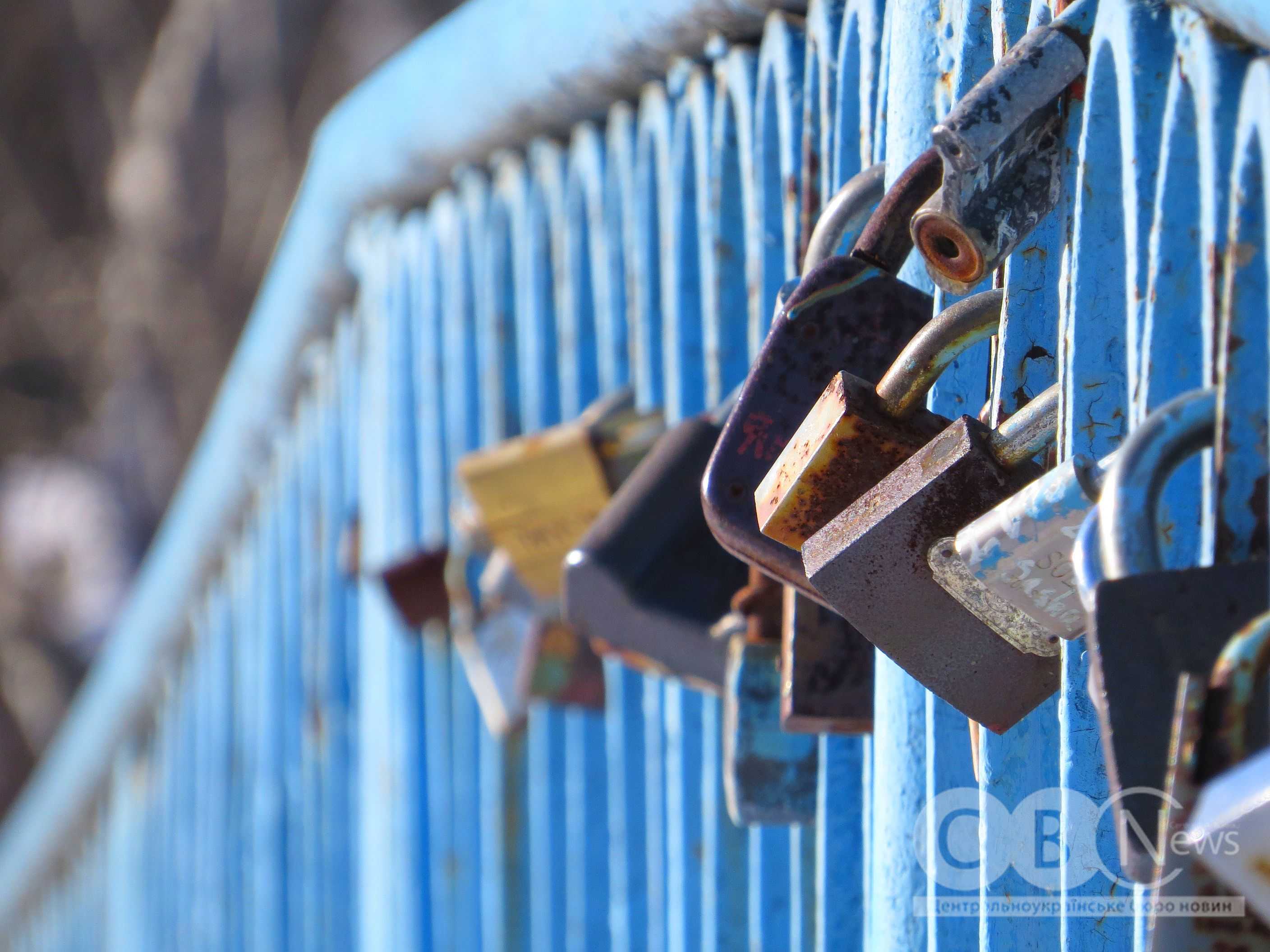 Кропивницький розпочав рік бігом і прогулянками з собаками