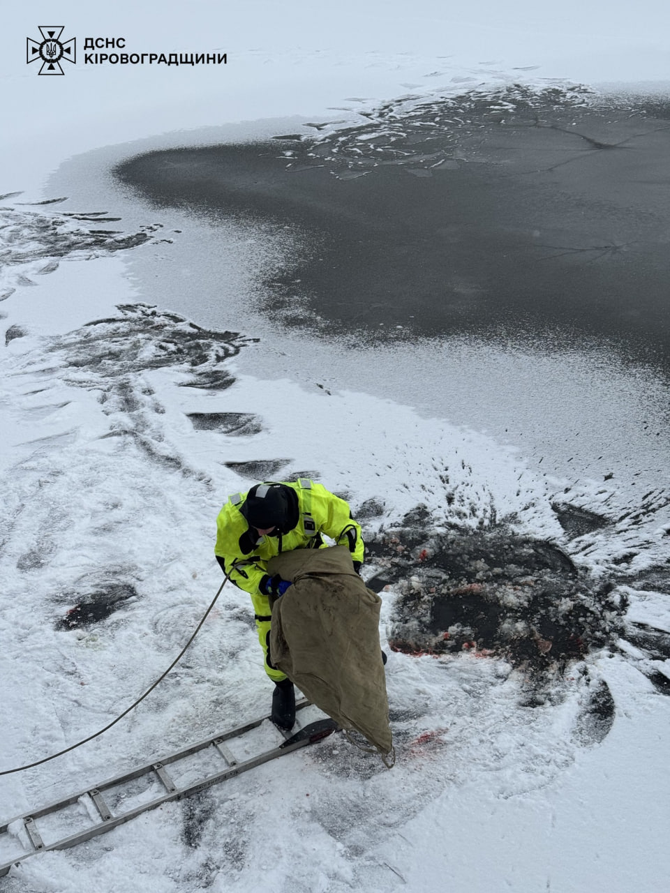 Травмованого лебедя врятували на Інгулі в Кропивницькому