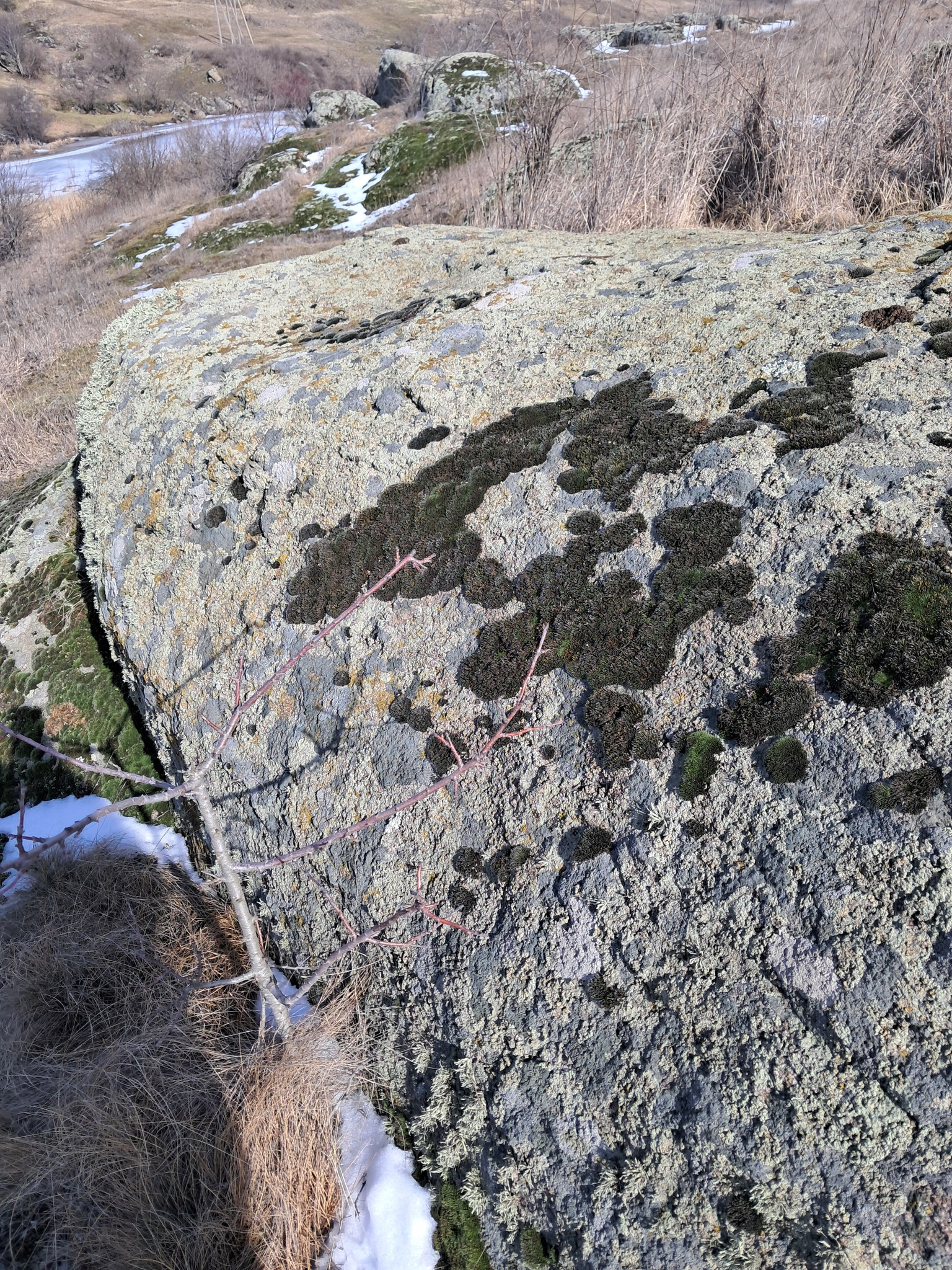 На Кіровоградщині неподалік Бобринця знайшли кам'яний степ, який планують зробити заповідною територією.