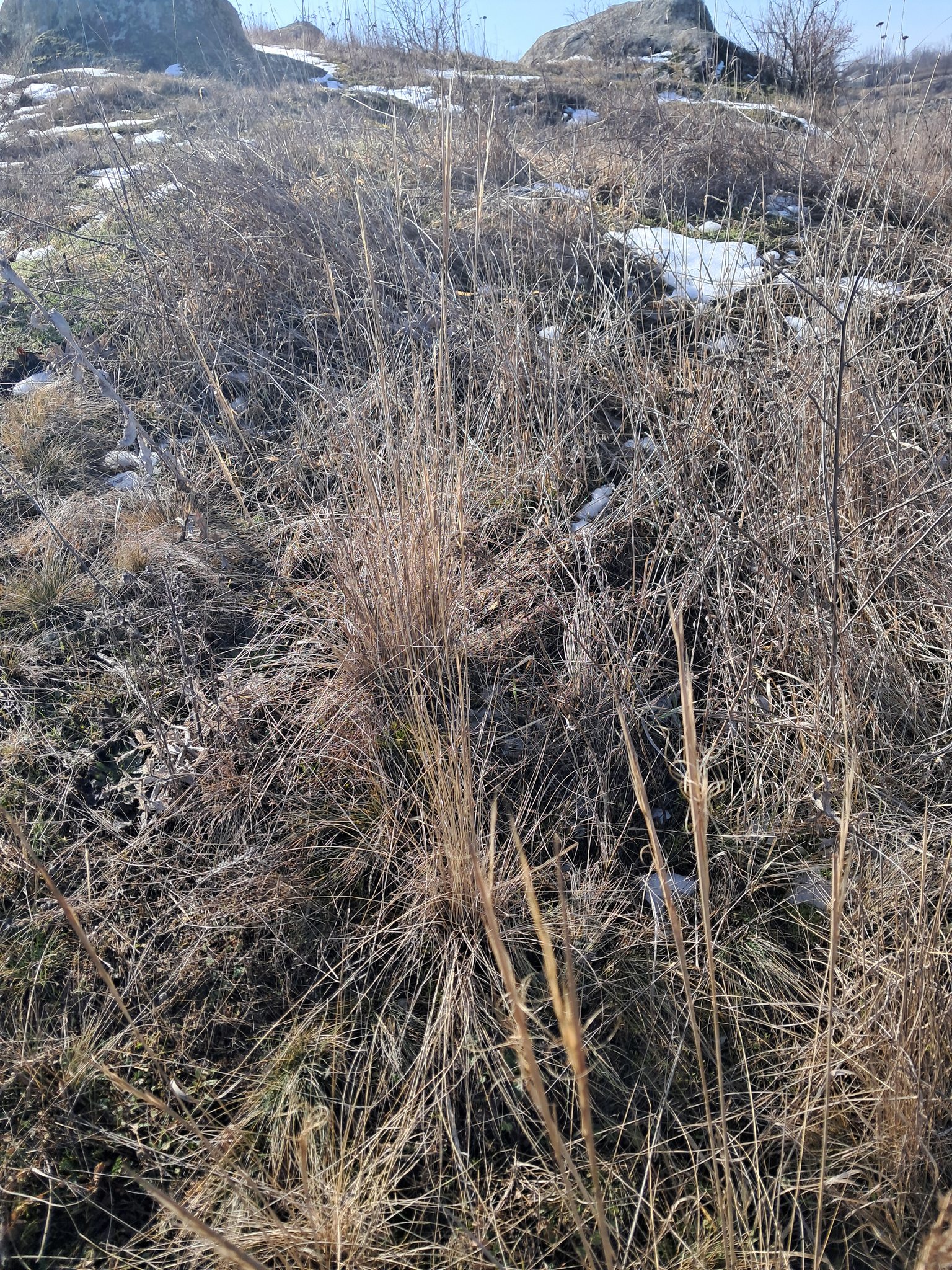 На Кіровоградщині неподалік Бобринця знайшли кам'яний степ, який планують зробити заповідною територією.