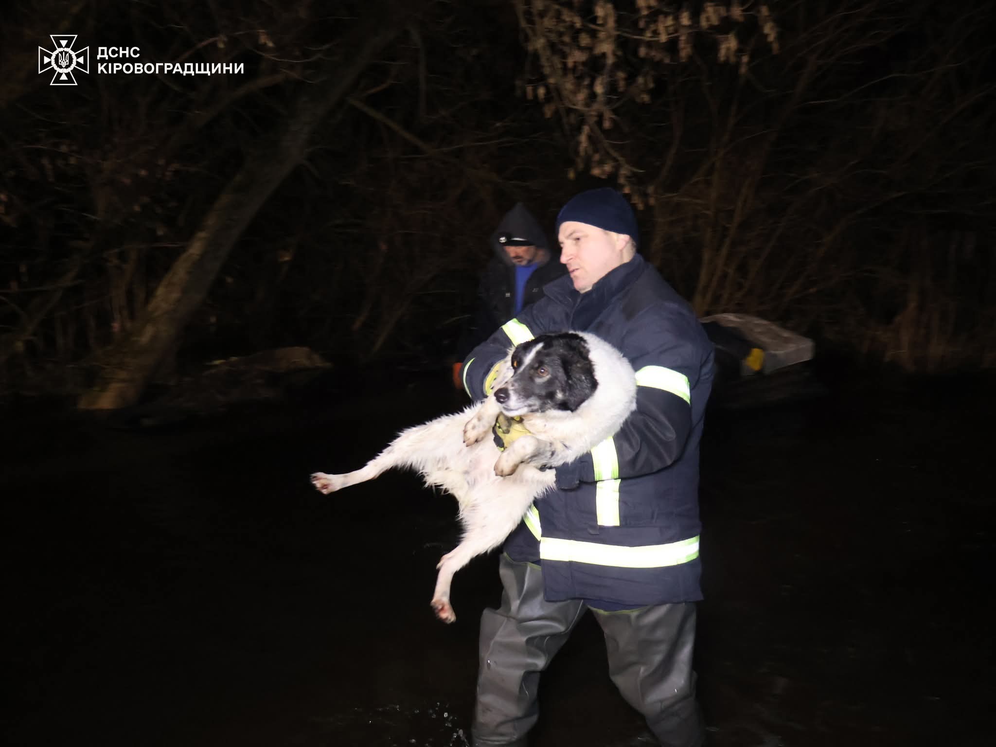 FB_IMG_1771307116221