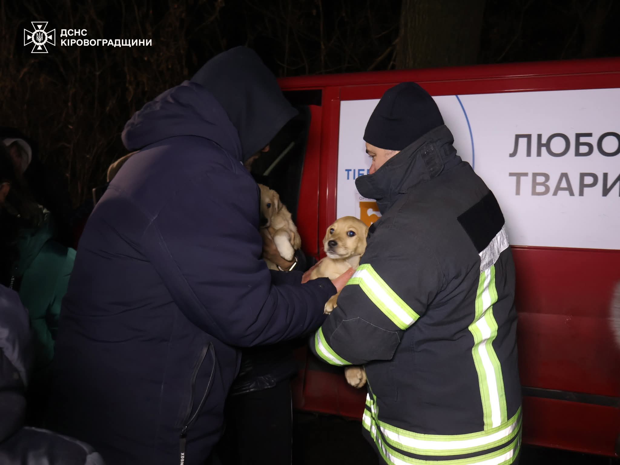 FB_IMG_1771307122935