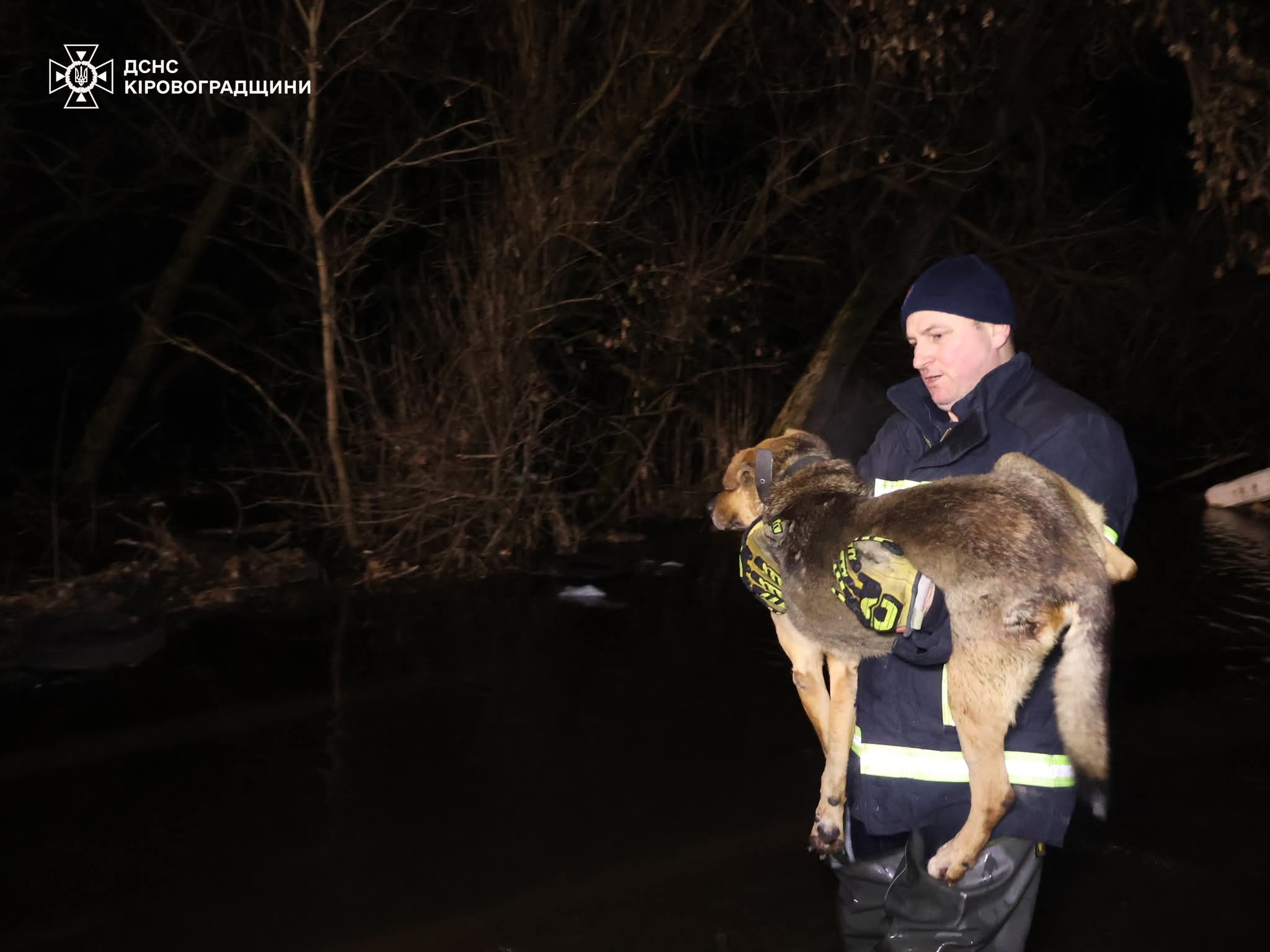 FB_IMG_1771307133308