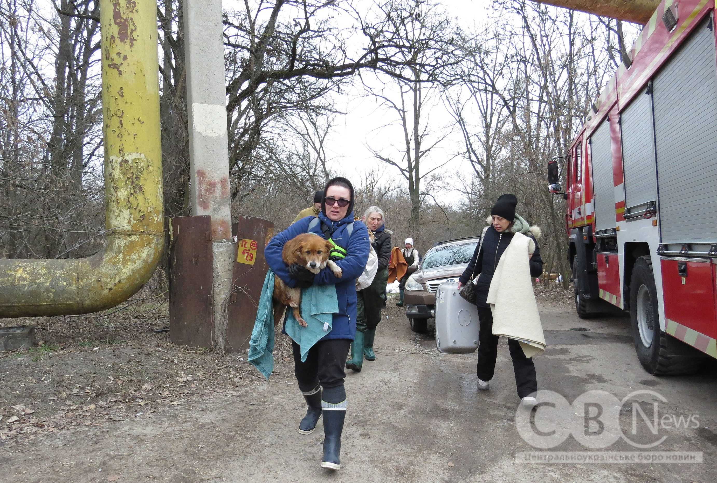 Понад 300 тварин врятували із затопленого притулку &laquo;Бім&raquo; у Кропивницькому