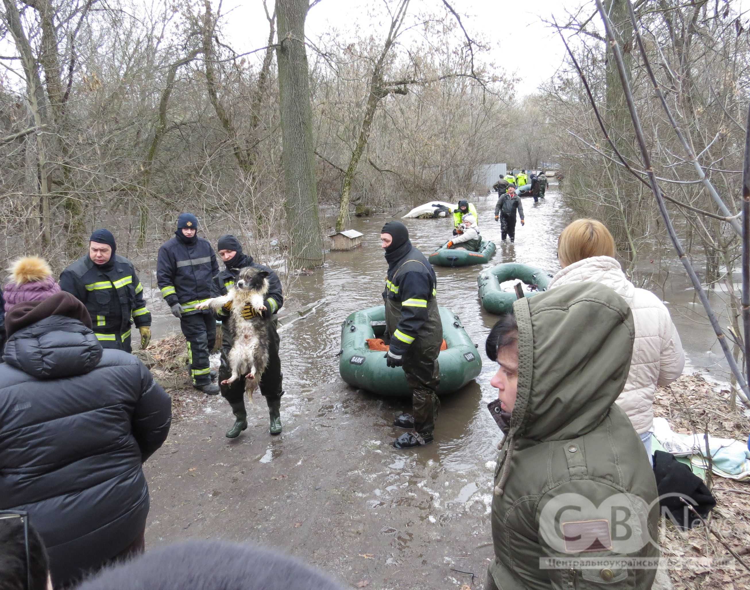 Понад 300 тварин врятували із затопленого притулку &laquo;Бім&raquo; у Кропивницькому