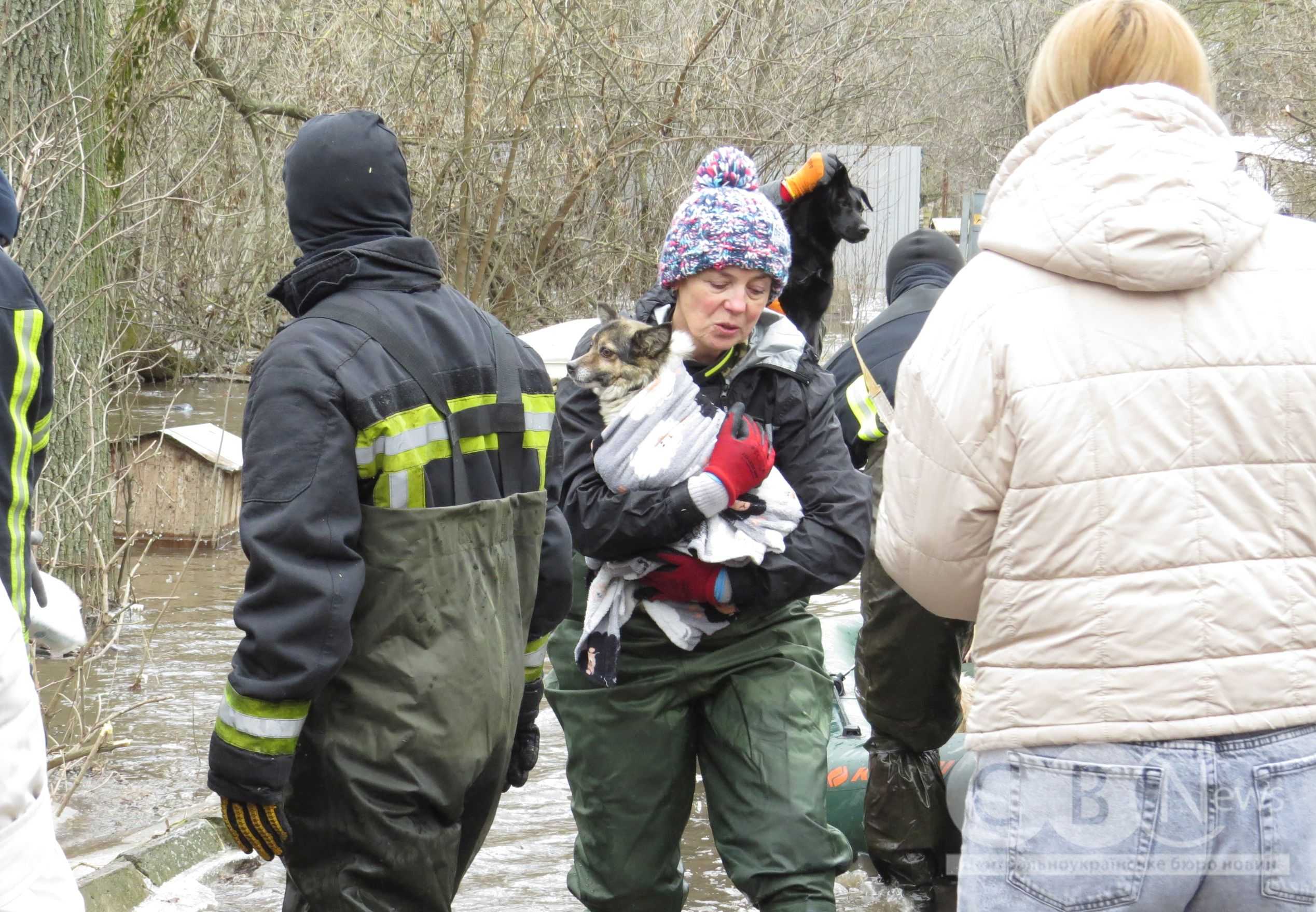 Понад 300 тварин врятували із затопленого притулку &laquo;Бім&raquo; у Кропивницькому