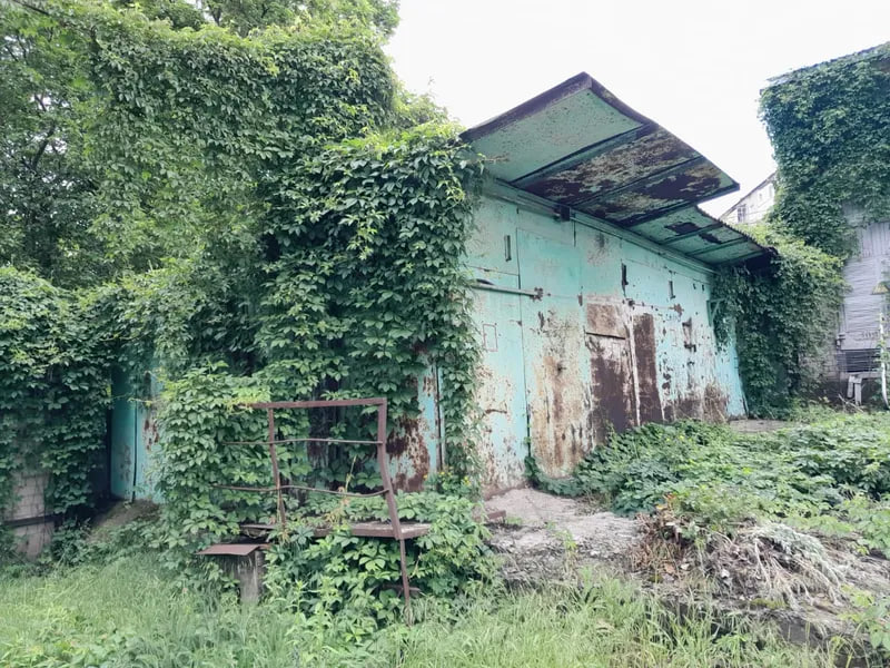 Адмінбудівлю за понад 11 млн грн виставили на аукціон у Світловодську