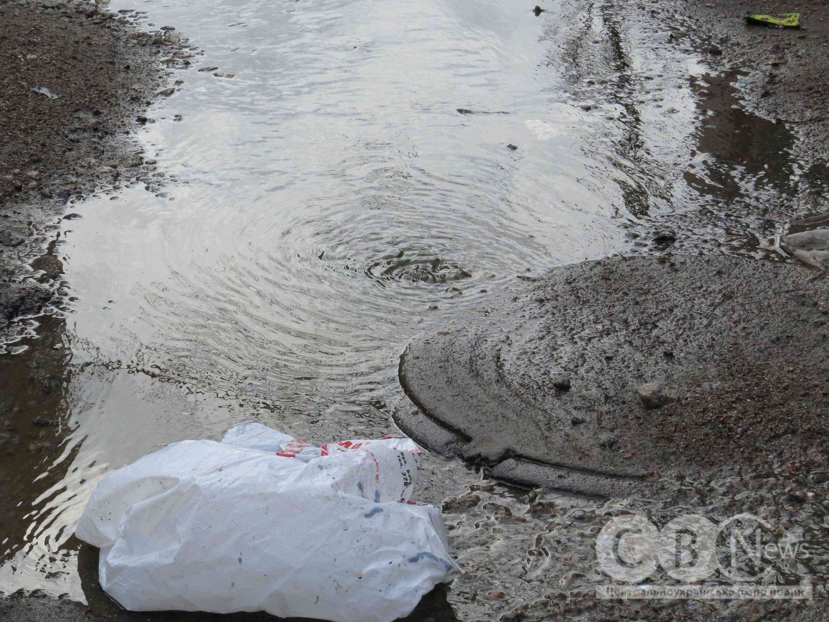 Двір будинку в Кропивницькому, на вулиці Івана Похитонова, 4, вже кілька місяців заливає нечистотами