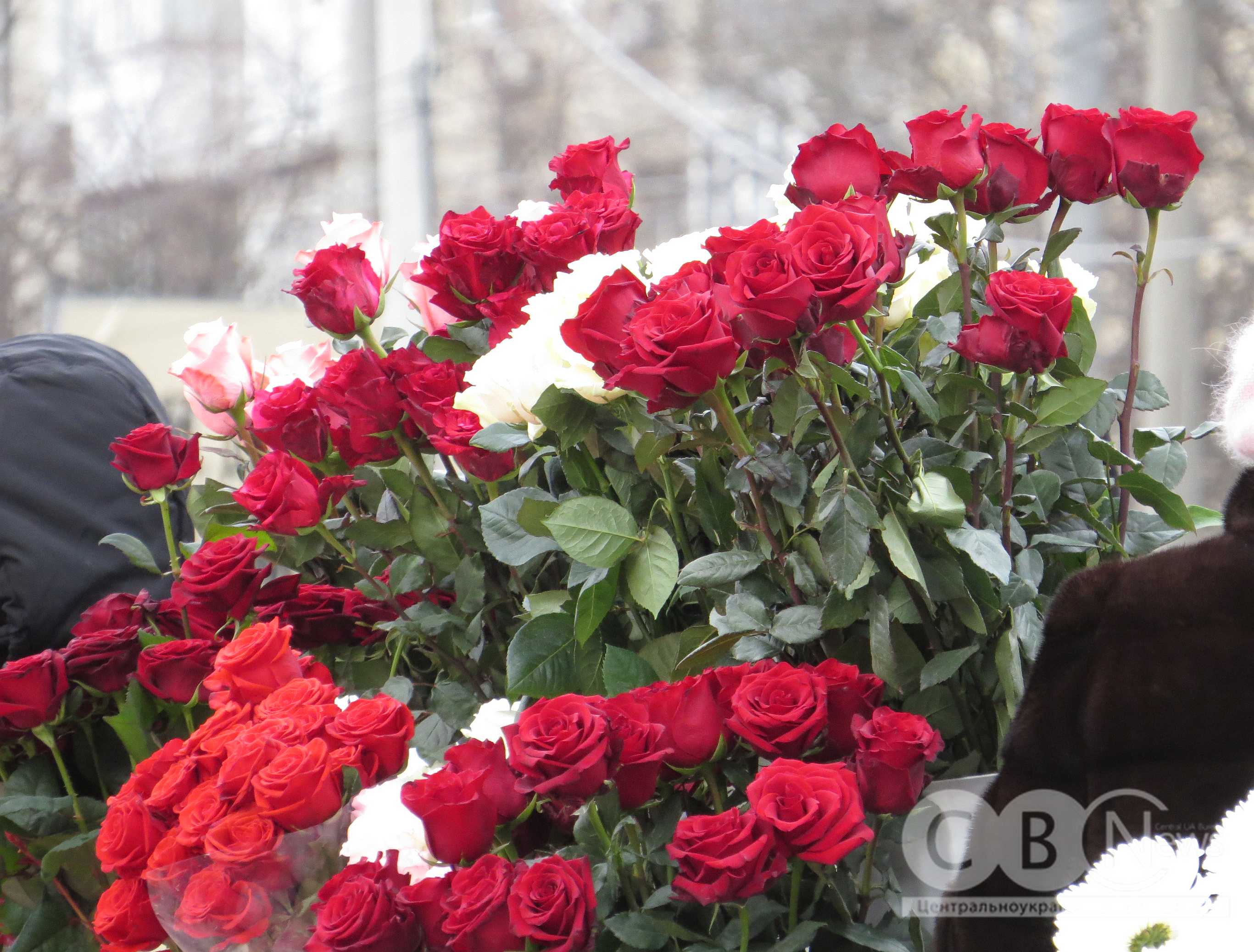 Троянди продають на ярмарку в середмісті Кропивницького