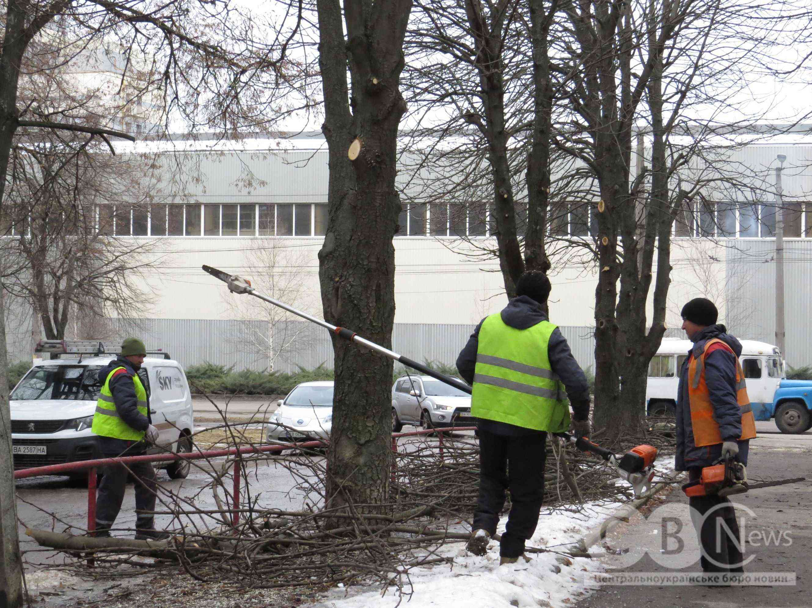 На Студентському бульварі у Кропивницькому обрізають дерева