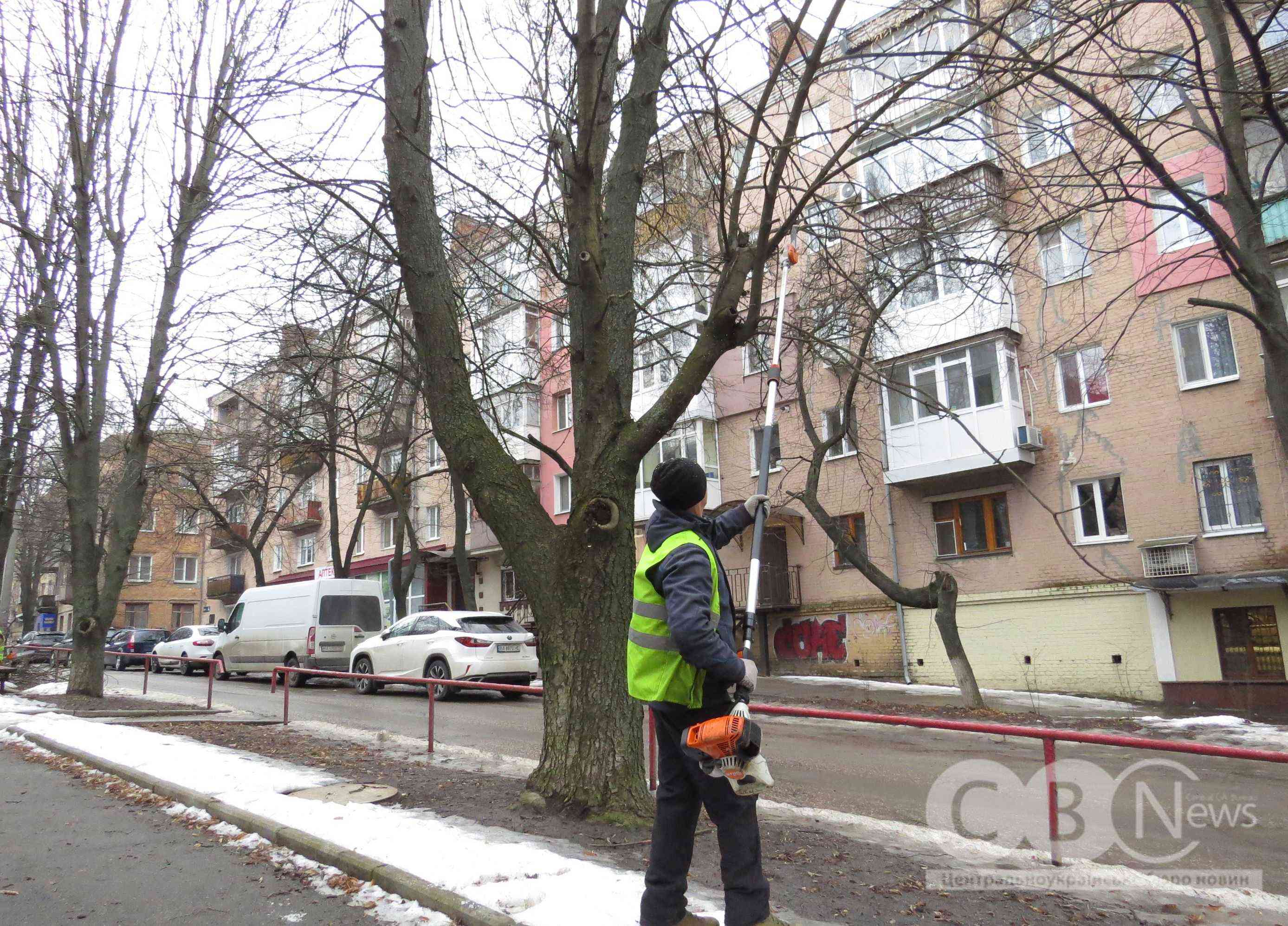 На Студентському бульварі у Кропивницькому обрізають дерева