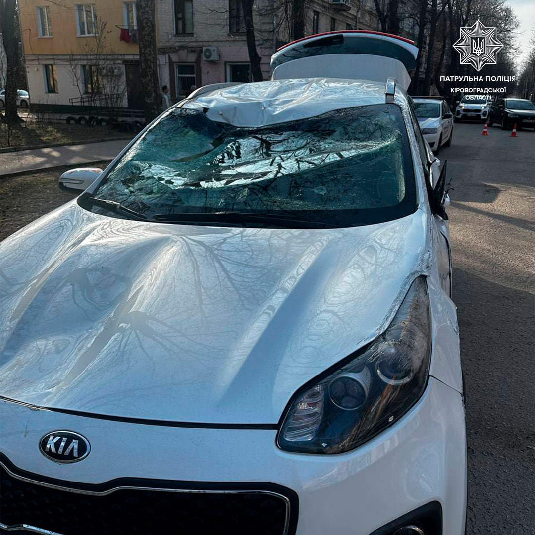 photo_4_2026-03-29_13-58-55