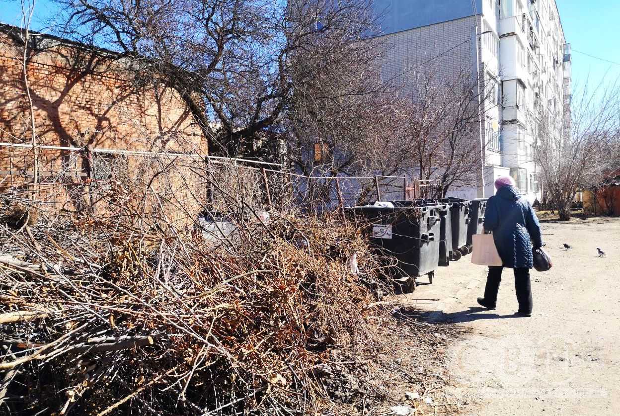 Захаращений гілками сміттєвий майданчик