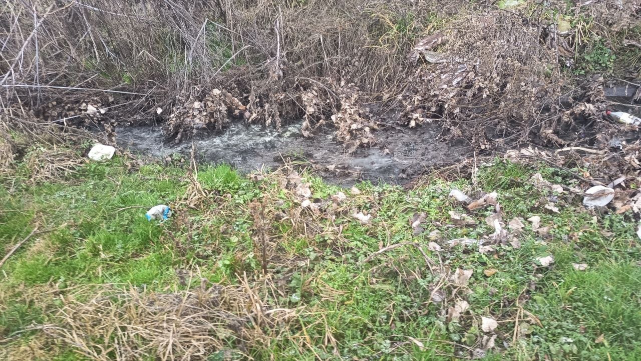 Забруднена стічними водами земельна ділянка