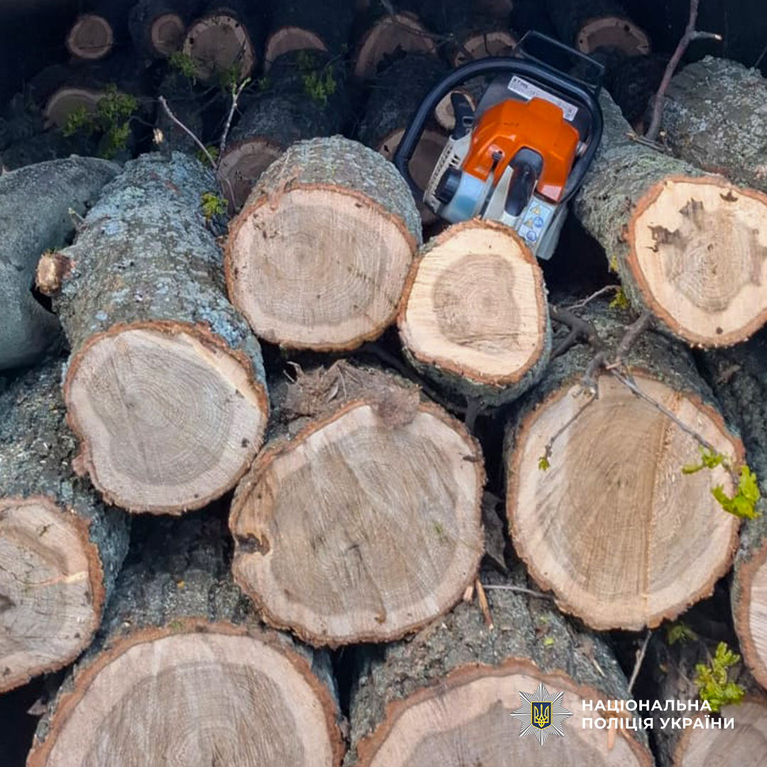 682720337_1424388153051822_1330941958154530119_n