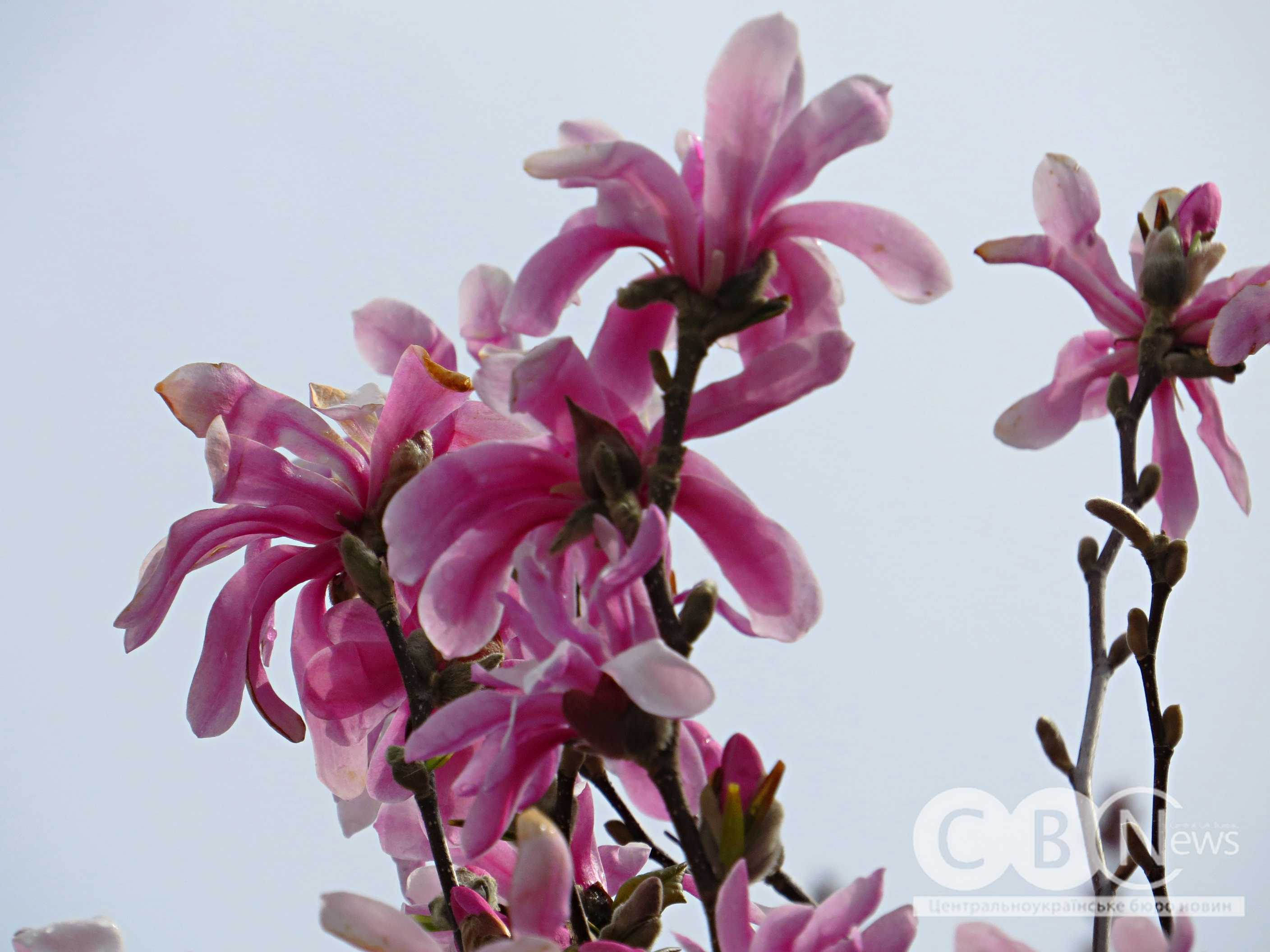 82b23c54-363b-48ff-b35e-fe7f4ffce41b