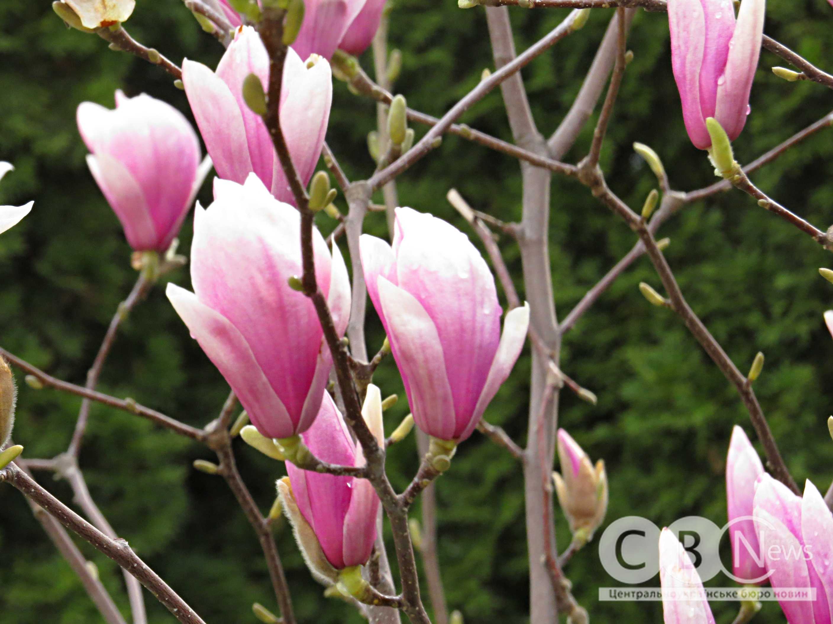 9e719d78-7507-4871-9aaa-c9807913e85e