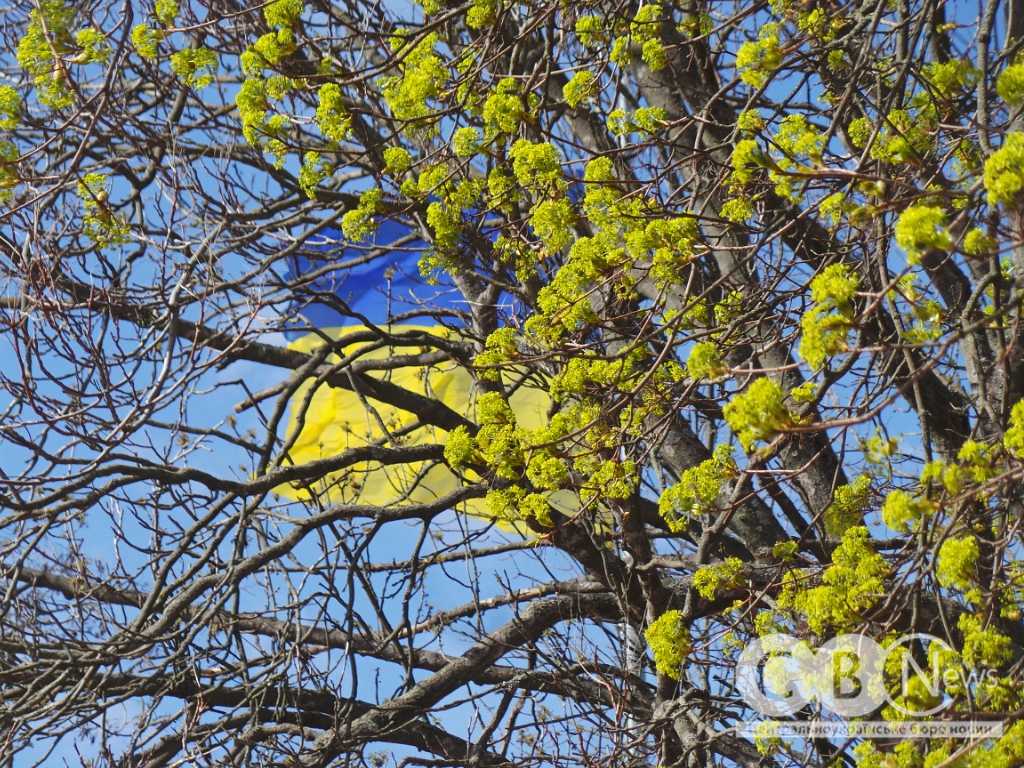 IMG_20260408_081052_619