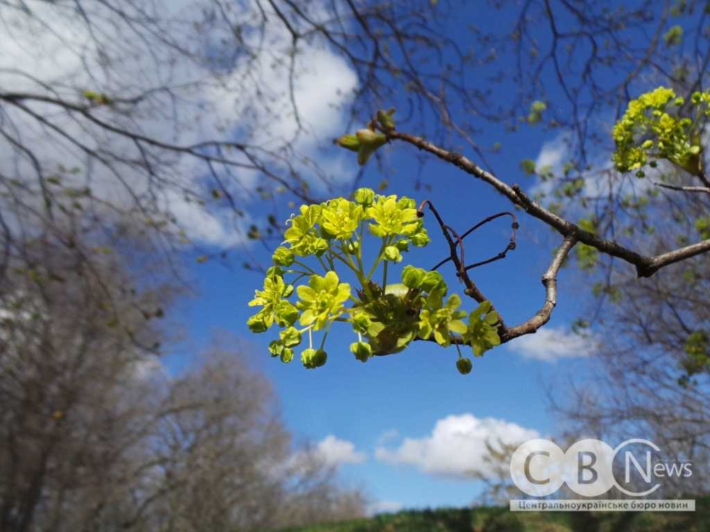 IMG_20260408_081052_907