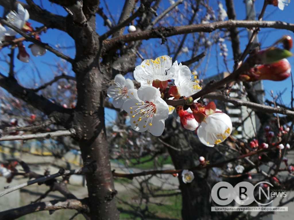 IMG_20260408_081053_072