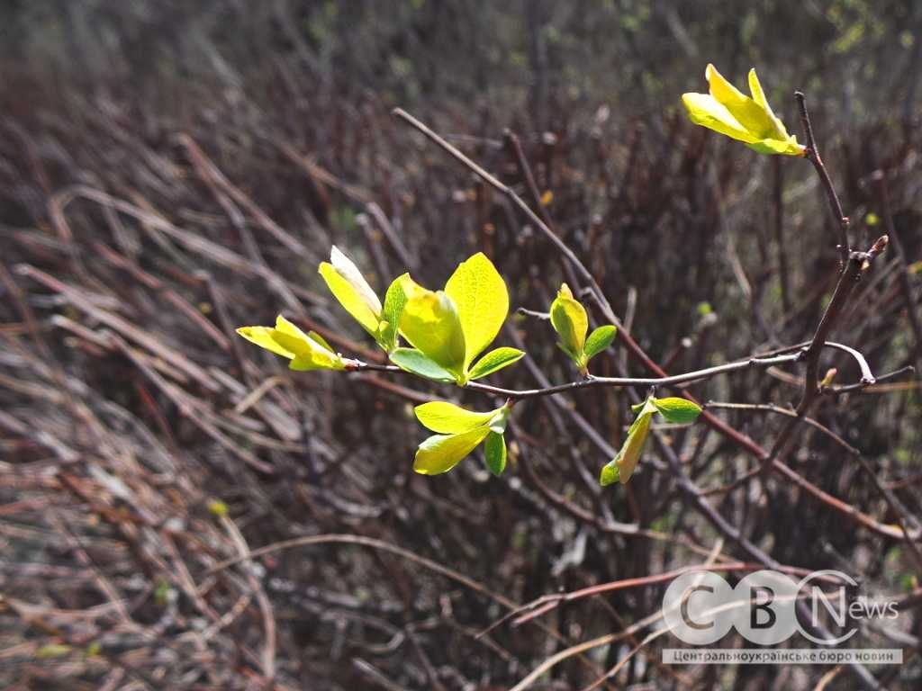 IMG_20260408_081053_083