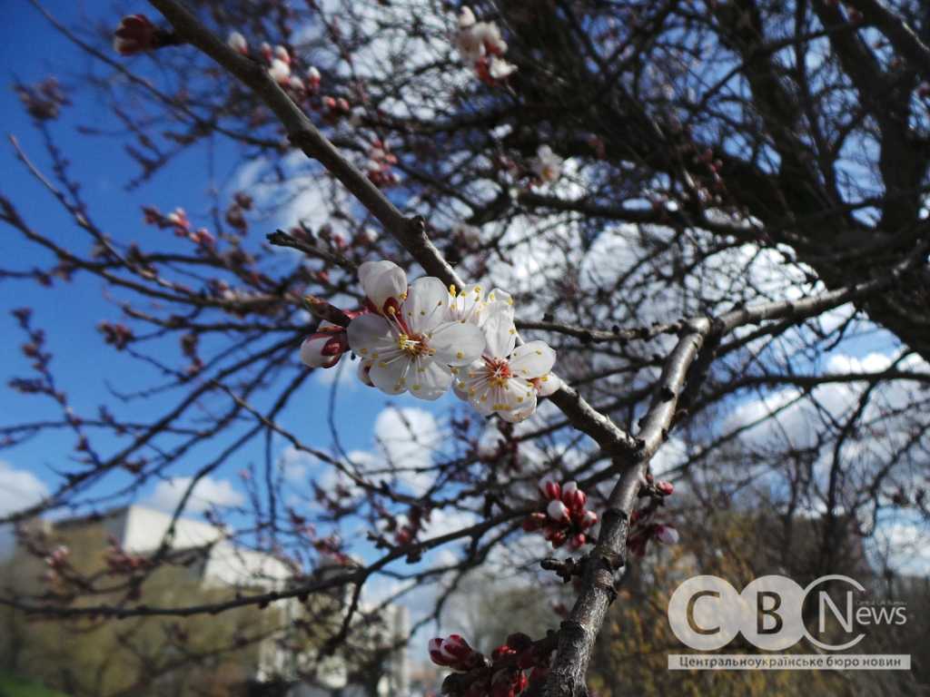 IMG_20260408_081053_298