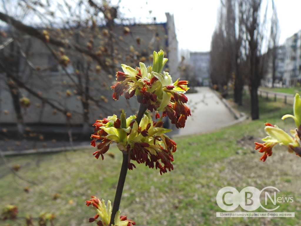 IMG_20260408_081053_451