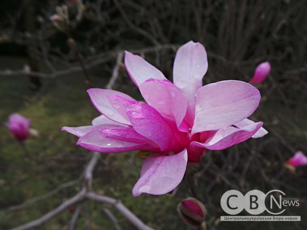 ee0d47a3-ab4f-4167-a367-c19e8f469243