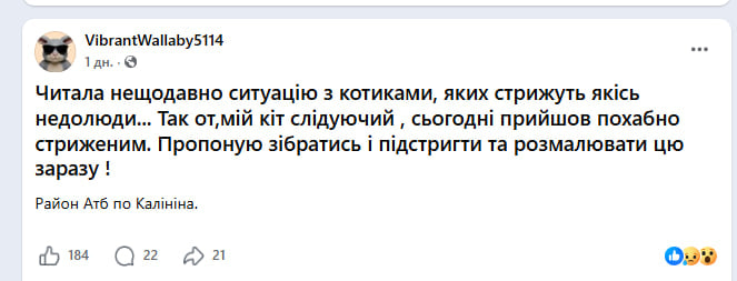 Повідомлення у фейсбук групі про постриженого кота