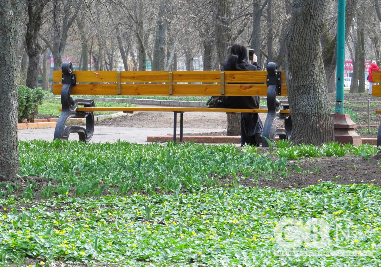 Жінка сидить на лавці в Дендропарку