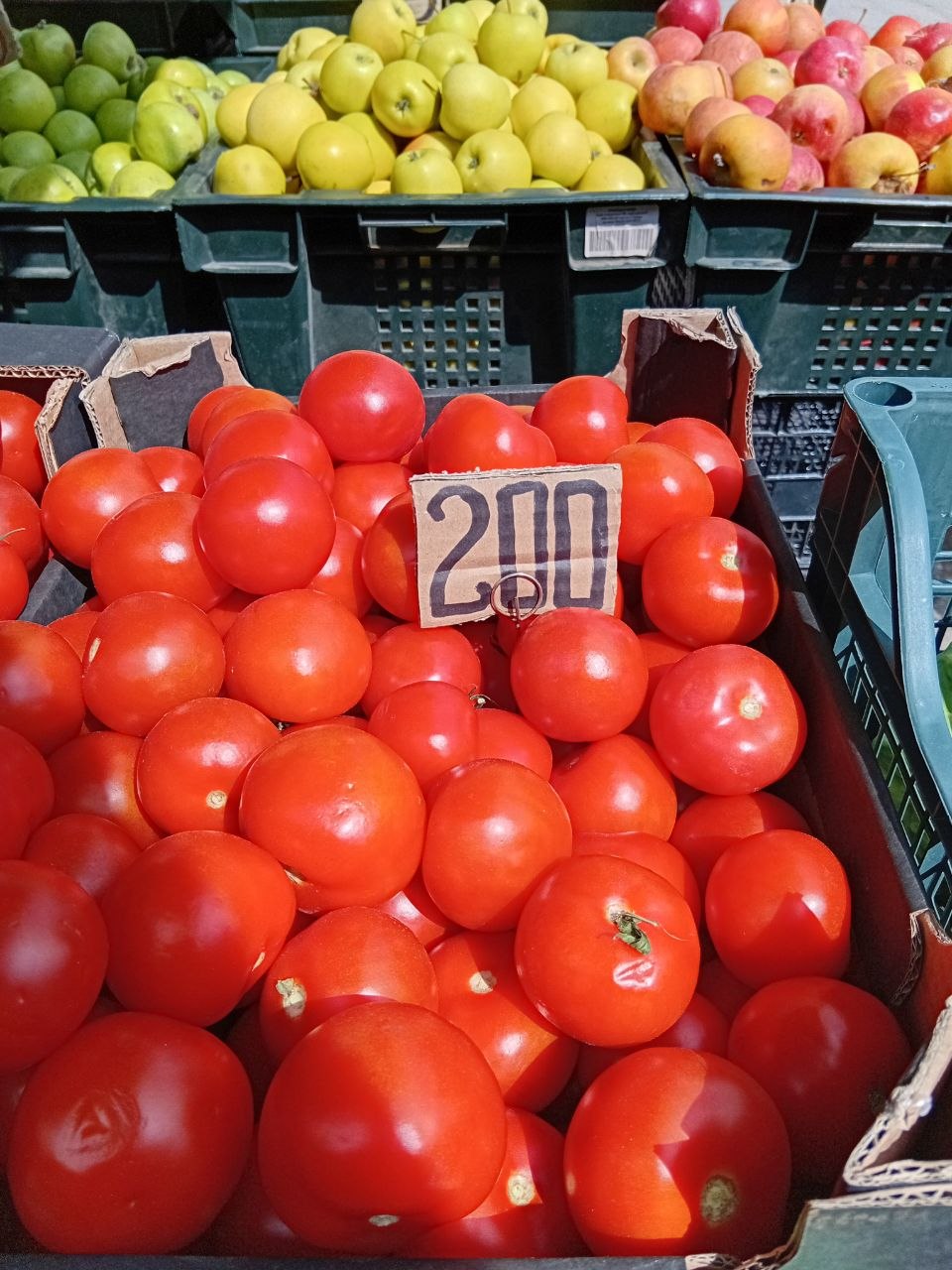 photo_5386495658069529688_y