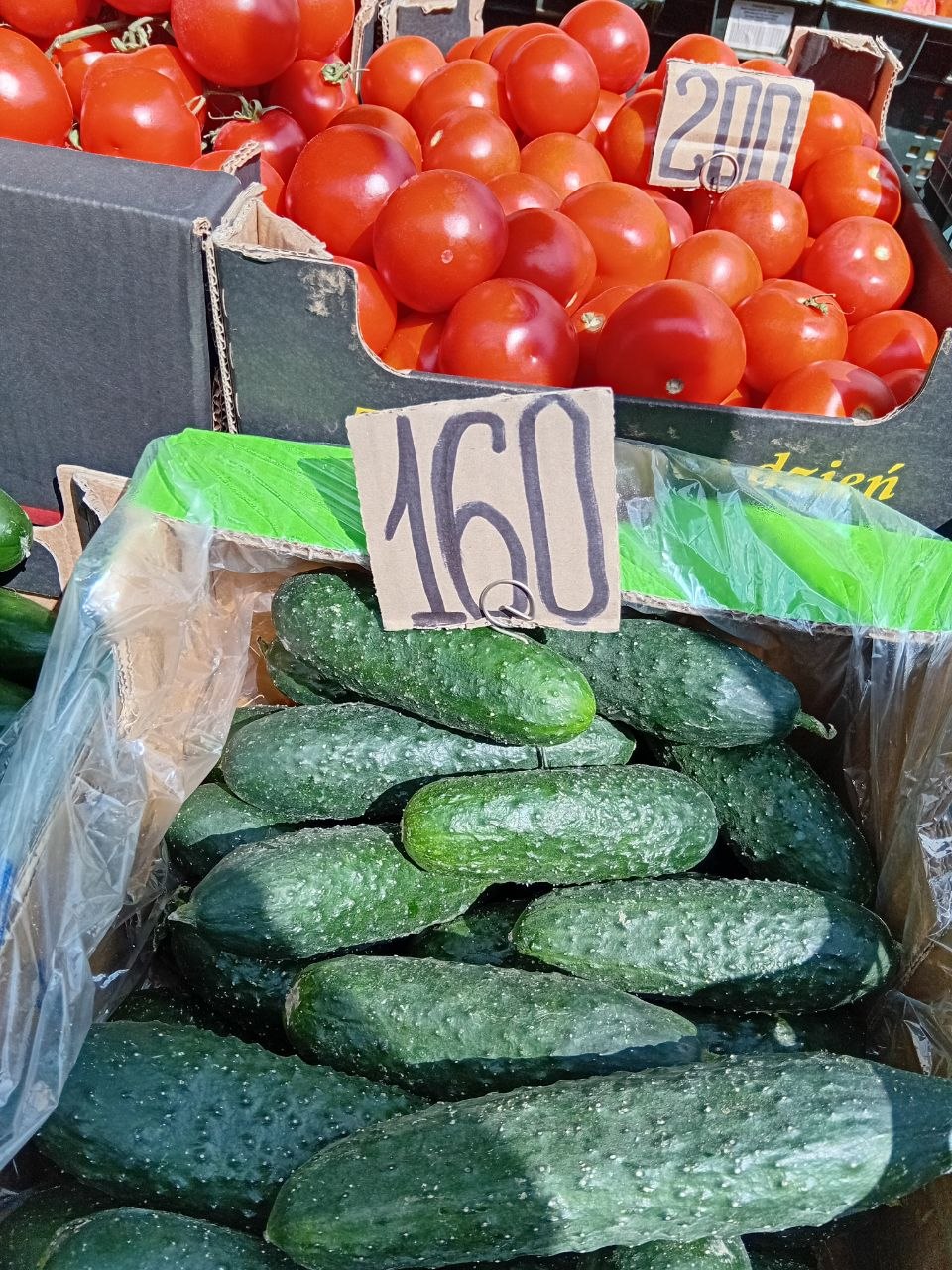 photo_5386495658069529690_y