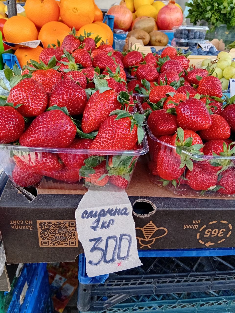 photo_5386495658069529692_y