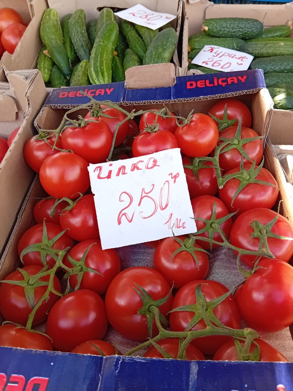 photo_5386495658069529695_y