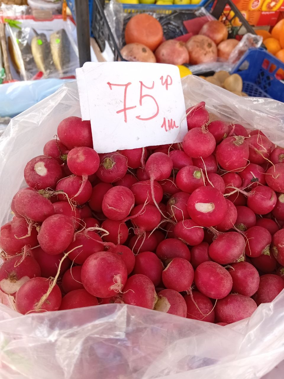 photo_5386495658069529698_y