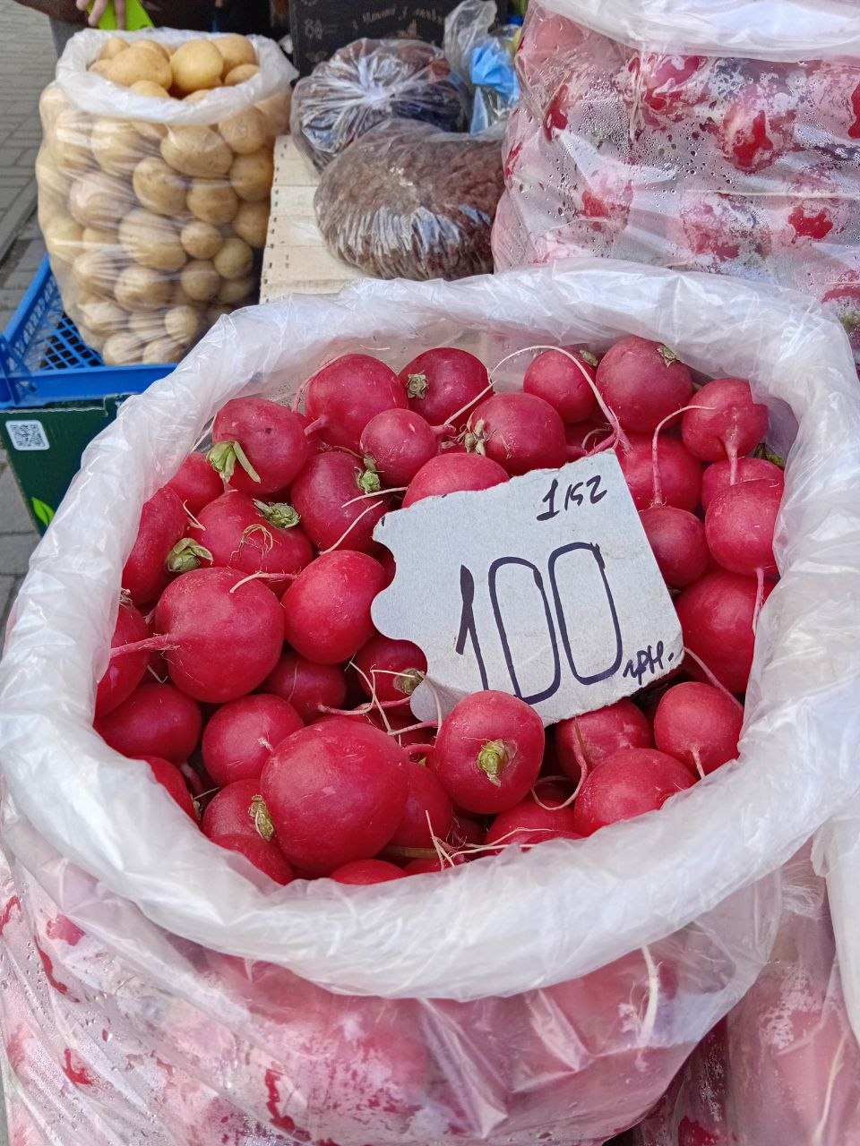 photo_5386495658069529699_y