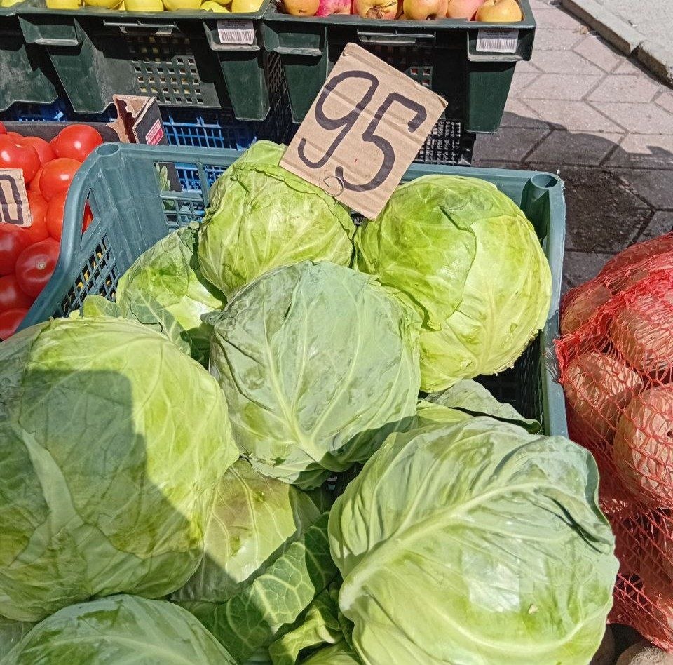 photo_5386495658069529719_y