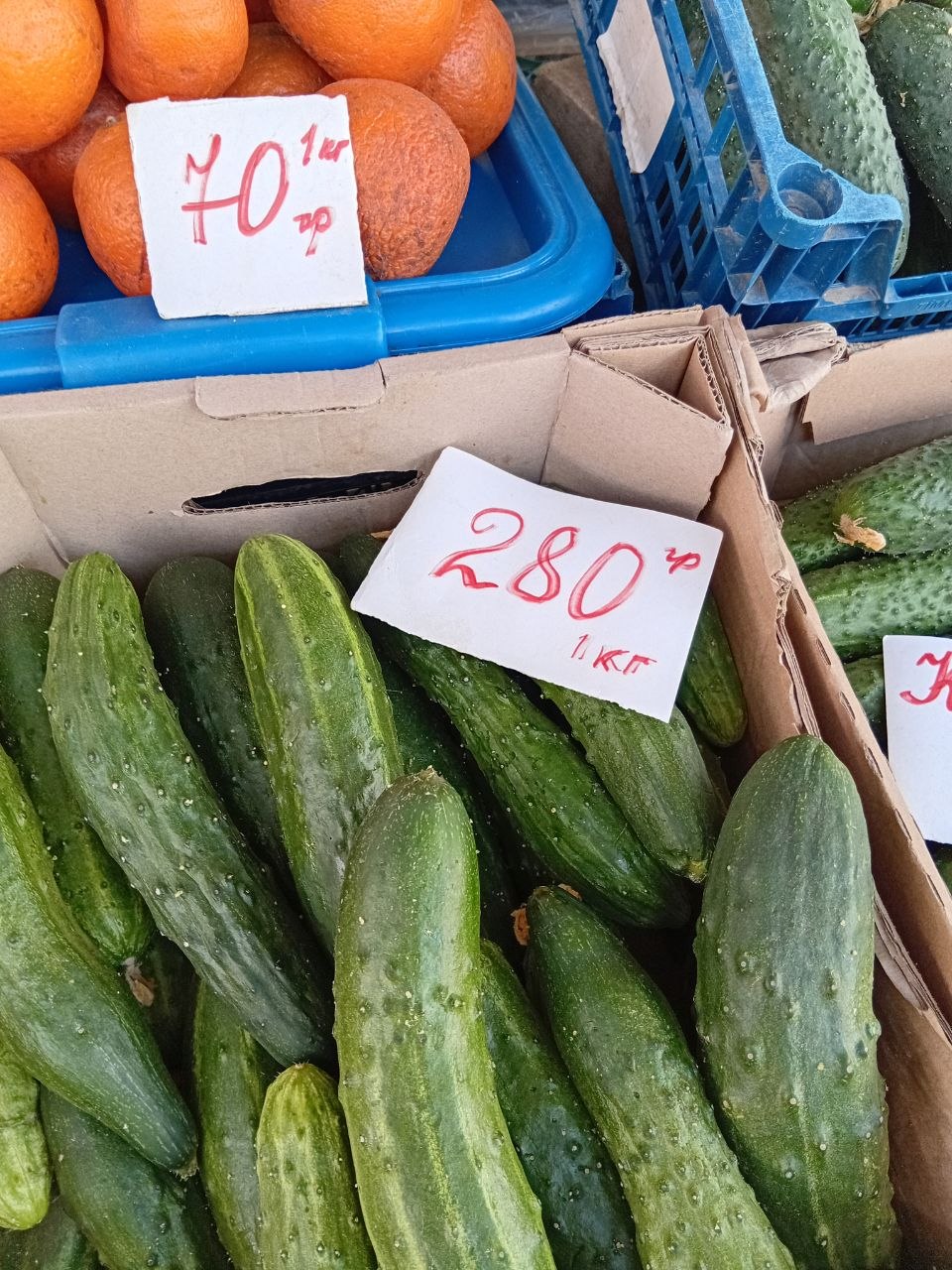 photo_5386495658069529731_y