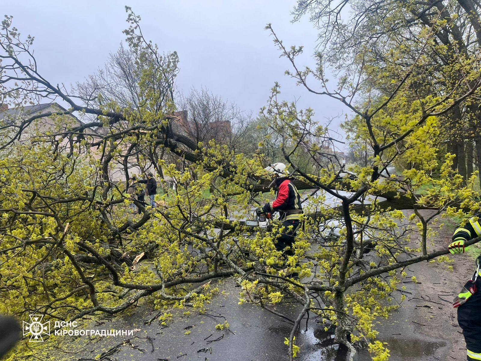 photo_5436248907118744863_w