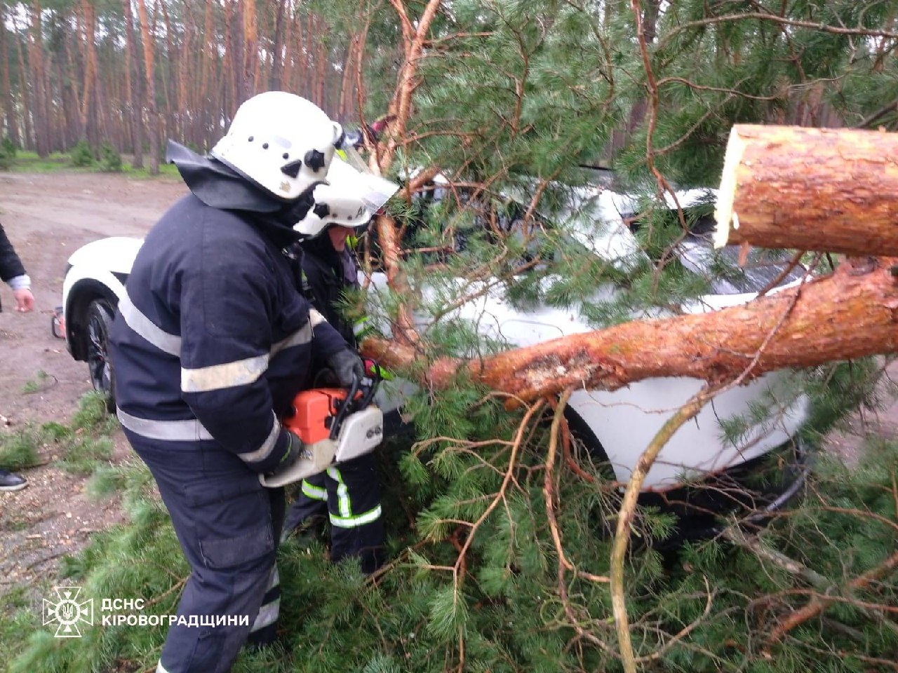 photo_5436248907118744866_y