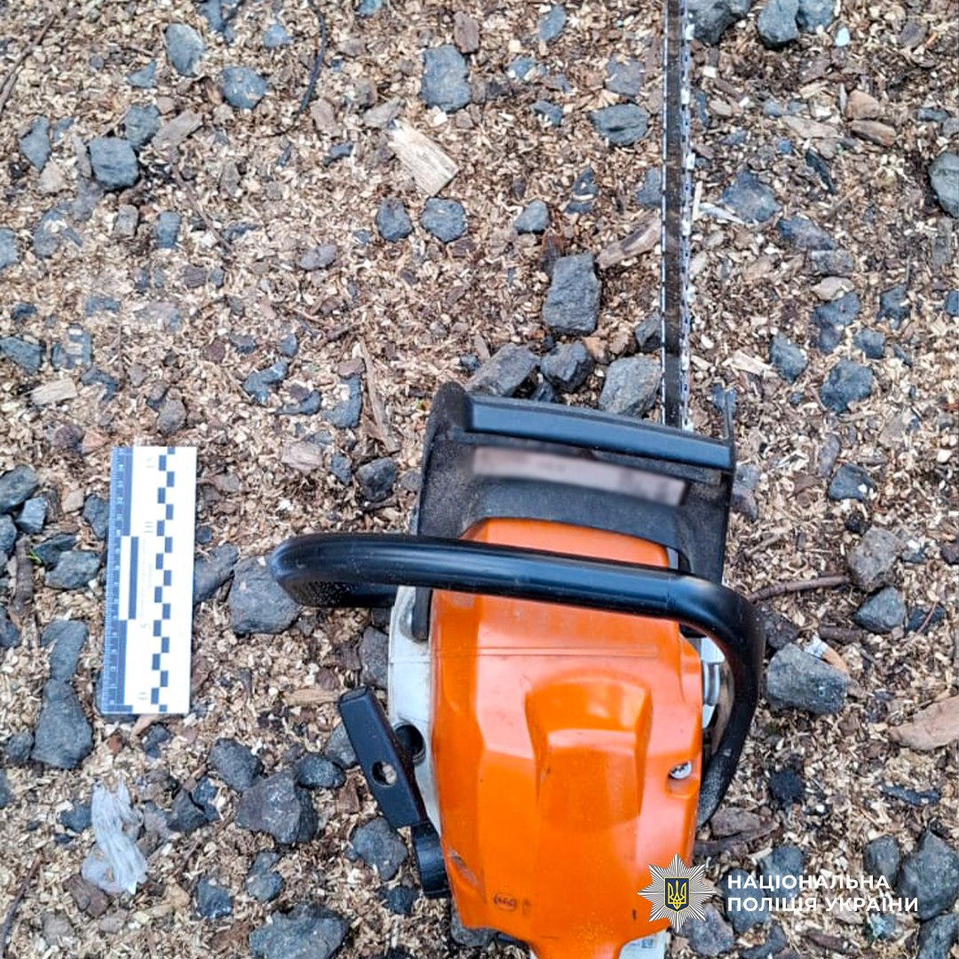 photo_5438500706932431153_y