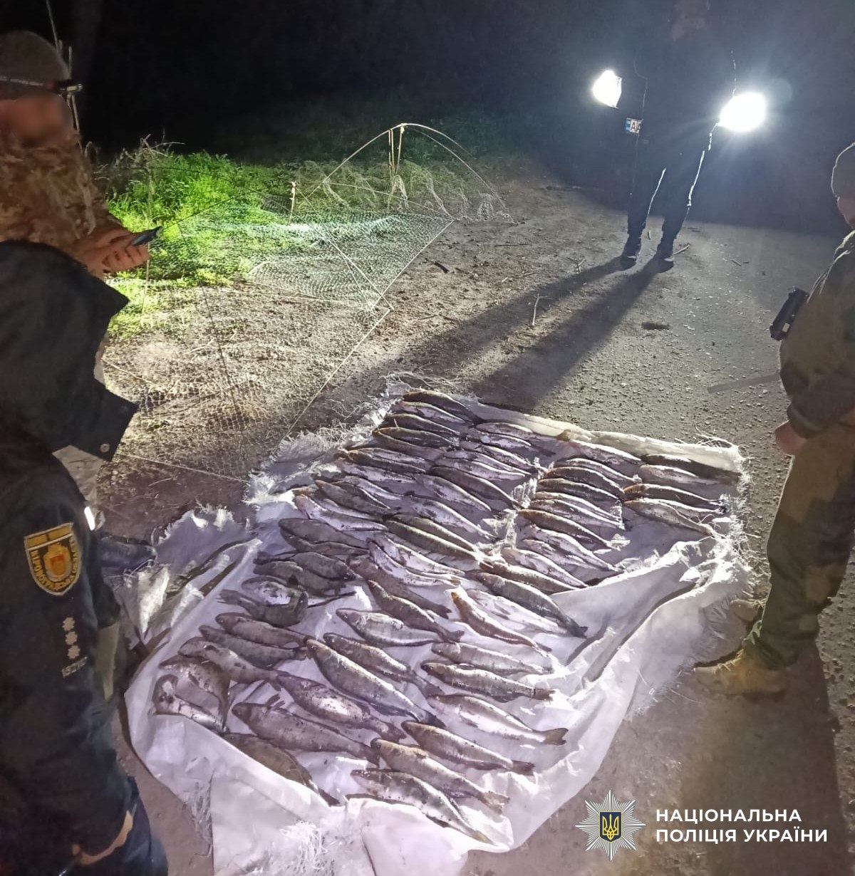 photo_5440534249393033916_y