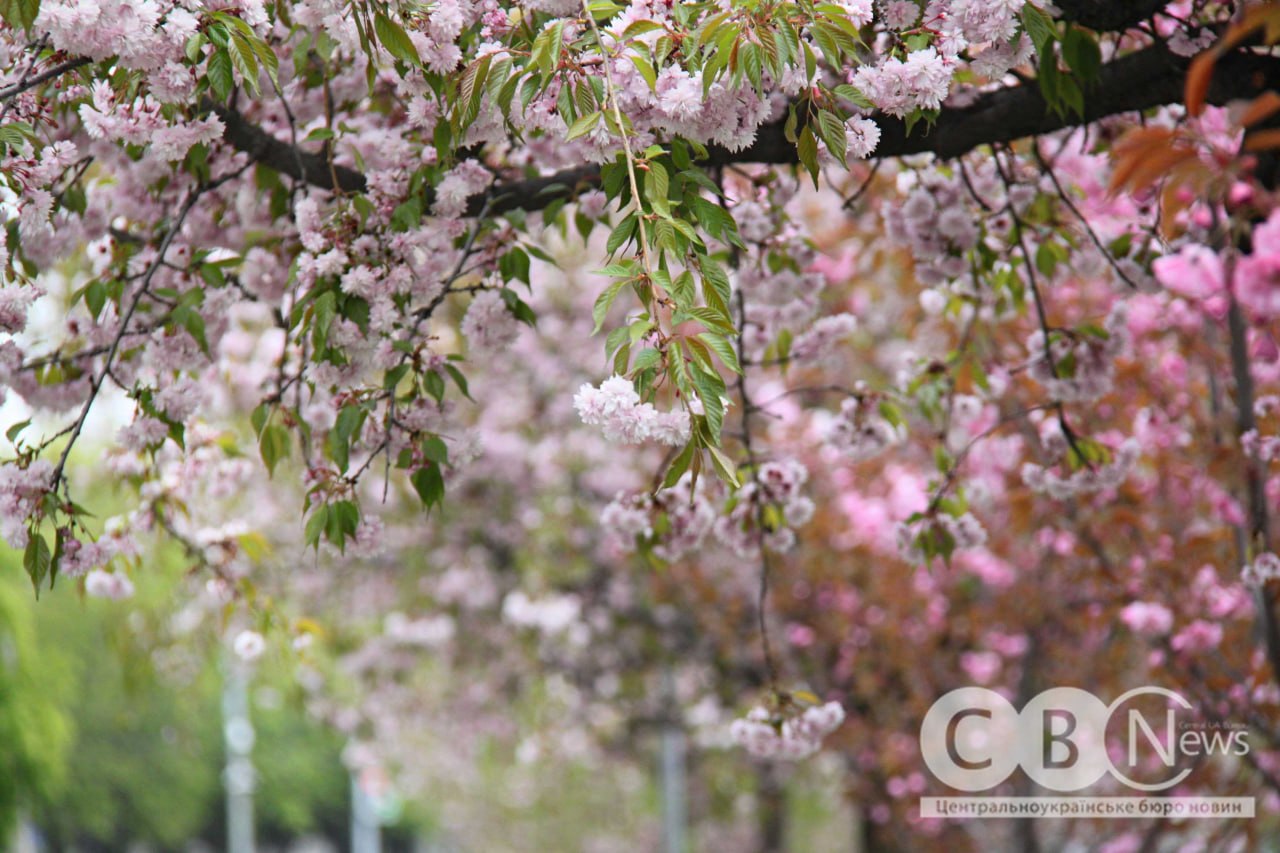 photo_5445137711305004135_y