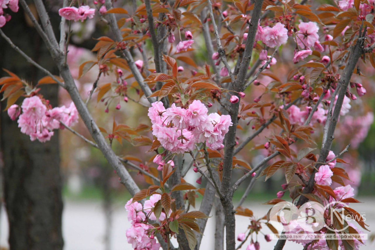 photo_5445137711305004136_y