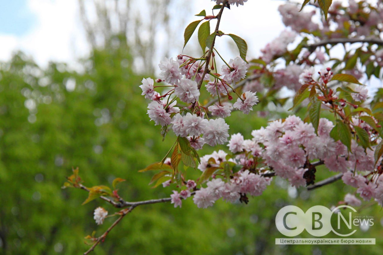 photo_5445137711305004138_y