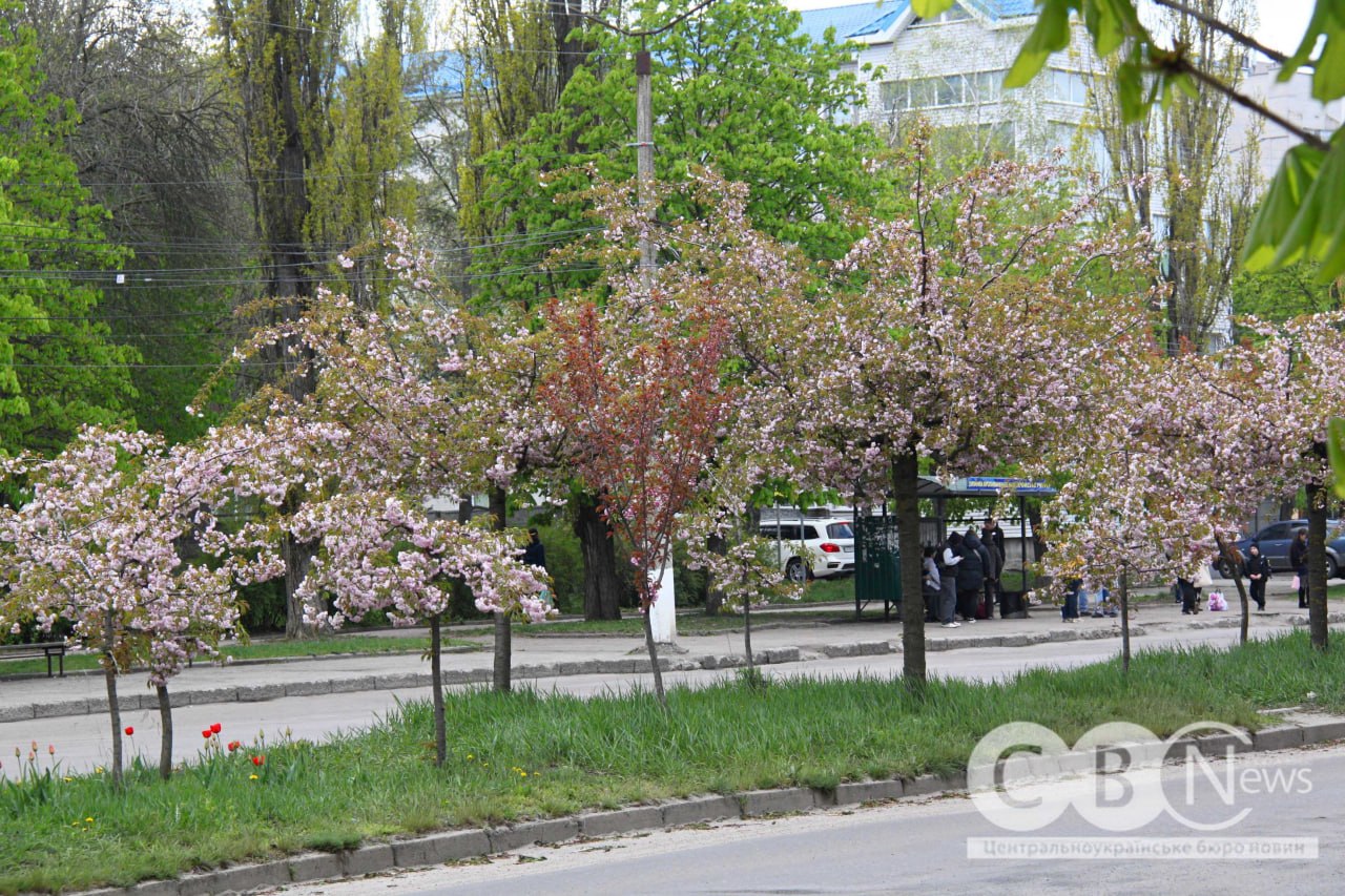 photo_5445137711305004139_y