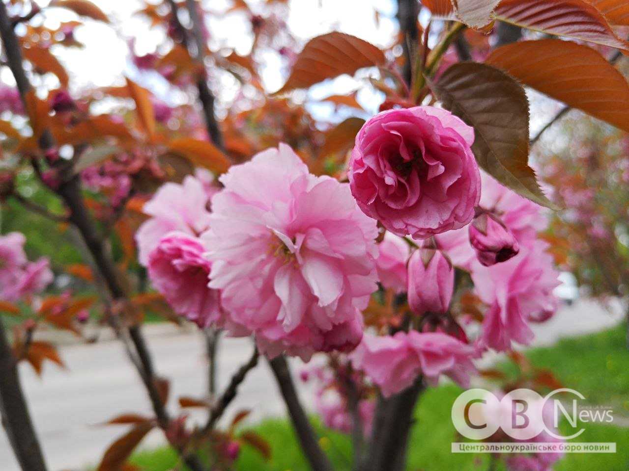 photo_5445137711305004142_y